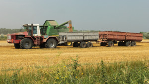 Средният добив на пшеницата засега е 602 кг/дка