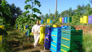Пчелна ферма залага на успех с крем-мед