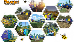 Пчелна ферма залага на успех с крем-мед - Снимка 4