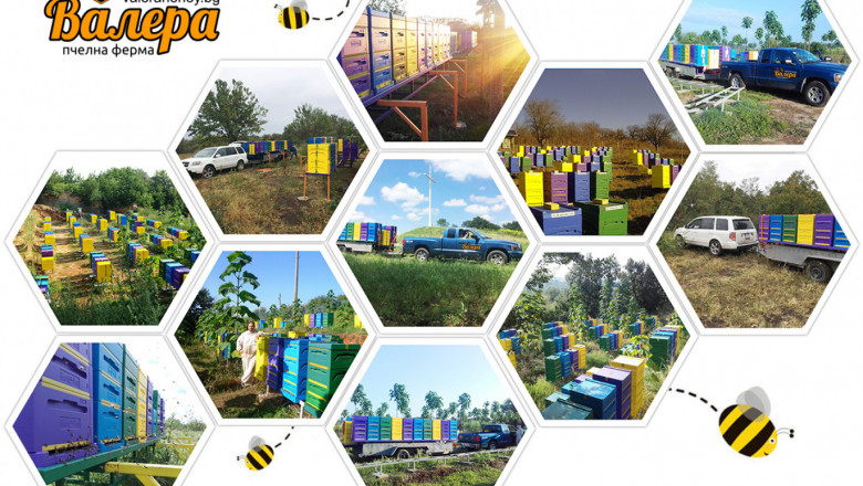 Пчелна ферма залага на успех с крем-мед