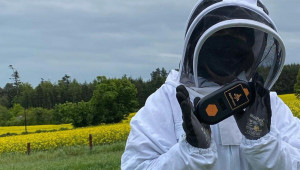 Как дистанционното наблюдение помага на пчелите?