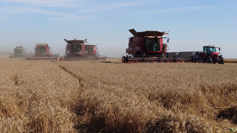 Добивът в Силистренско: Между 650 и 850 кг зърно от декар