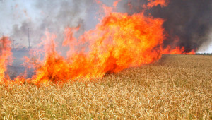 Пожари изпепеляват пшеница в Добруджа