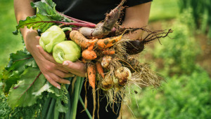Плодове и зеленчуци: При кои от тях изостава производството тази година? - Снимка 1