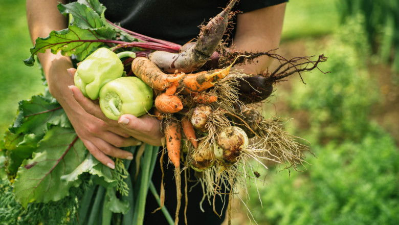 Плодове и зеленчуци: При кои от тях изостава производството тази година?