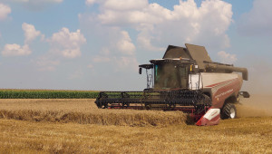 606 кг/дка среден добив от пшеница в Добруджа - Agri.bg