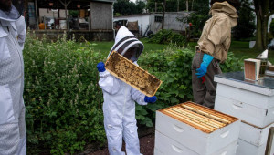 Само на 7 години, а има кошери с 50 000 пчели