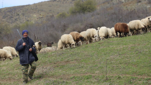 Намериха се още 62 млн. лв. за животновъди по подмярка 4.1 - Agri.bg