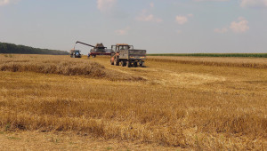 Над 800 кг/дка от български сортове пшеница - Agri.bg