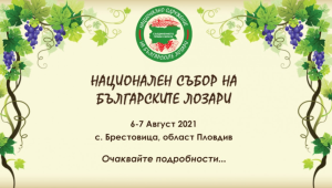 Първи национален събор на новото лозарско сдружение - Agri.bg