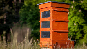 За пчелари: Вижте какви са добрите практики за хранене и профилактика - Agri.bg