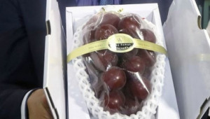Продадоха чепка грозде за рекордните 12 700 долара - Agri.bg