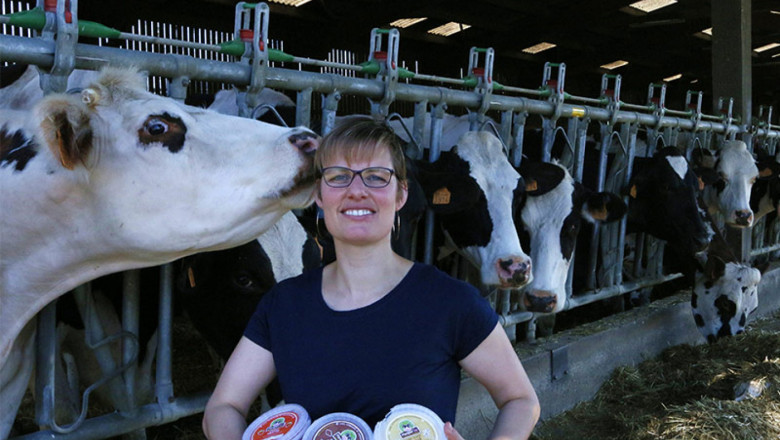 Как го правят: От 30 крави до успешен бизнес в млечна ферма