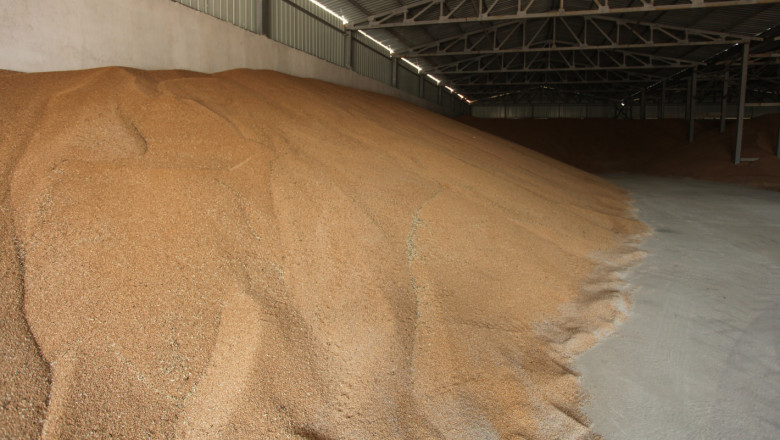 Какво ни казахте: Масово добивите от пшеница са между 500 и 700 кг/дка