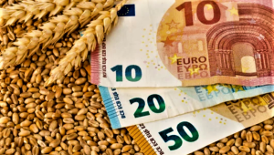 Фермер за цената на пшеницата: Търговците действат тактически - Agri.bg