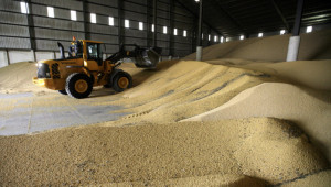Пшеницата надхвърли 7 млн. тона, износът расте