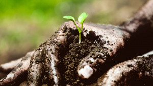 Топ агроном от САЩ ще ни учи на почвено плодородие - Снимка 1