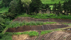 Шансове за развитие чрез екологично земеделие и агролесовъдство