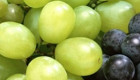 Продавам сливи и грозде за ракия - Снимка 1