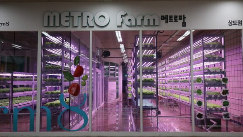Бъдещето: Вертикална ферма в метрото