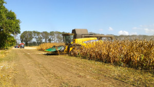 Започна жътвата на царевица в Добруджа
