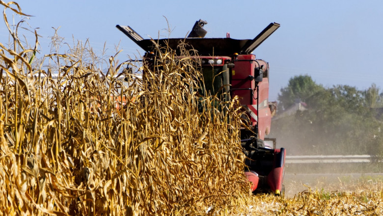 Текущи данни: Ръст над 30% при средния добив на царевицата