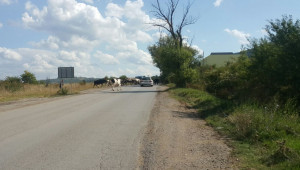 Стадо крави "регулира" движението на оживен път - Снимка 2