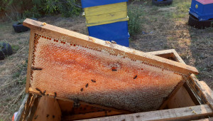 Пчелар: Пазарът не е даденост, трябва сам да си го извоюваш - Снимка 2