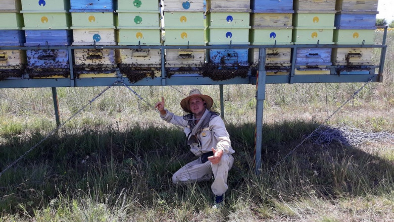 Пчелар ползва собствена технология за два пъти повече добив