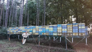 Пчелар ползва собствена технология за два пъти повече добив - Снимка 3