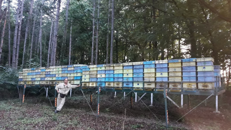 Пчелар ползва собствена технология за два пъти повече добив