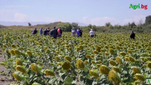 По покана на „Амитица“: Михаил Драганчук проведе тур със стотици земеделци във водещи No-till стопанства в страната   - Снимка 9