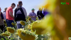 По покана на „Амитица“: Михаил Драганчук проведе тур със стотици земеделци във водещи No-till стопанства в страната   - Снимка 10
