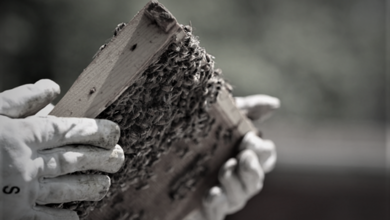 Да си спомним за създателя на модерното пчеларство у нас
