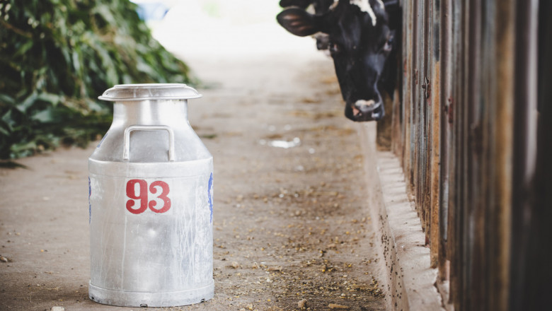 Ще успеят ли животновъдите да си докажат млякото?