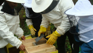 Бъдещи пчелари се учат от опита на по-големите - Снимка 4