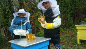 Бъдещи пчелари се учат от опита на по-големите