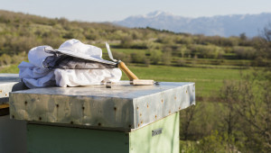 Пчелар от Варненско отчита средно по 50 кг от кошер