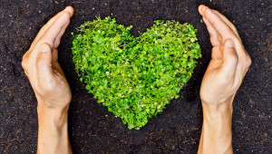 Мариана Милтенова: Крайно време е за подпомагане „Хуманно отношение към растенията”