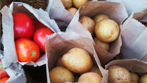 Зеленчуковата реколта: Доматите изостанаха, картофите излязоха на плюс