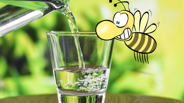 Пчелари пият една студена вода със схемата за държавна помощ