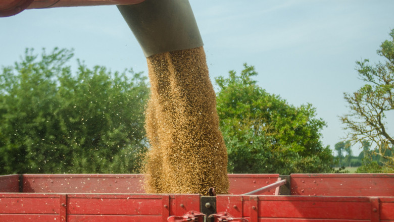 Борси: Продавачите искат за пшеницата поне 600,00 лв./тон
