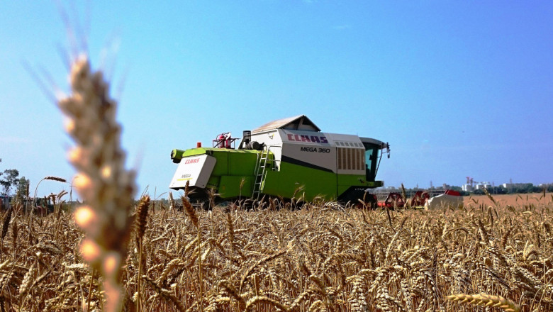 Още над 1 млн. дка с пшеница трябва да се засеят в Добруджа