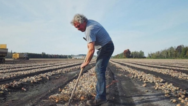 Фермерът-милионер, който ръчно събира готовата реколта