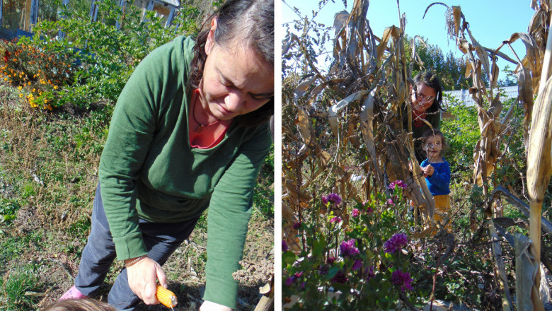 Дамите в селското стопанство: Цветелина Топузова
