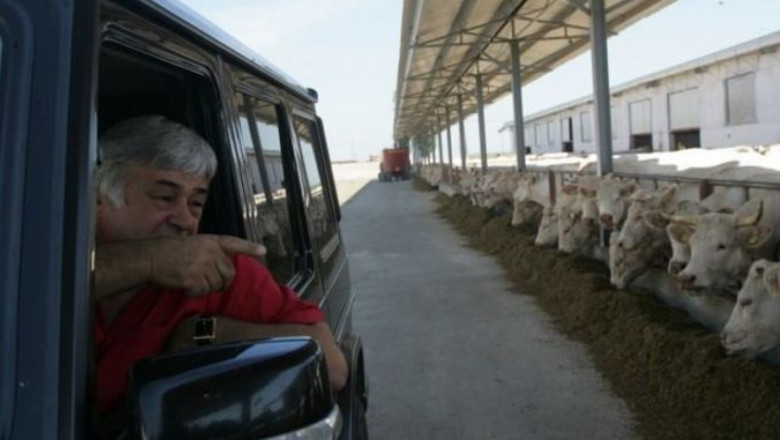 Какво ядат кравите на един от най-уважаваните фермери в Румъния?