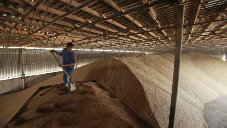 Зърнопроизводители продават пшеница чак в Бангладеш