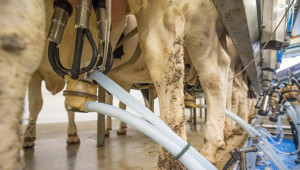 Как се произвежда мляко с по-високо съдържание на витамин D - Agri.bg