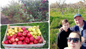 Когато природата ти поднесе ябълки, направи си сок и оцет - Agri.bg