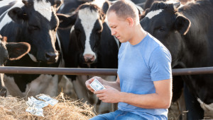 От бранша: Себестойността на млякото се е повишила със 70% - Agri.bg